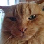 julia - @juliaslack61 - Instagram