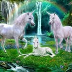 julia Slattery - @magicalcreatures8 - Instagram