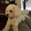 julia.slaughter - @julia.slaughter - TikTok