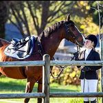 Julia Smith - @julia_smith._equestrian - Instagram