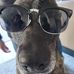 Julie Smyth - Facebook