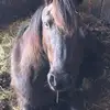 juliaannsnowden - @juliaannsnowden - TikTok