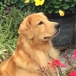 Julie Speer - @julie.speer.52 - Instagram