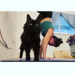 Julie Sperry - @juliecsperry - Instagram