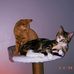 Julia Stahl - Facebook