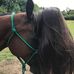 Julia Stahl - Facebook