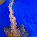 Julie Stanfield - @julielstanfield - Instagram