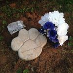 Bosley...RIP - @julia.stclair.144 - Instagram
