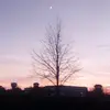 Julia - @juliasteele.0 - TikTok