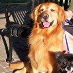 Julie Penny-Stowell - @pennystowell - Instagram
