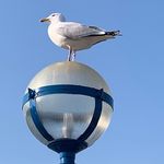 Julia Sugden - @seasidestructures - Instagram