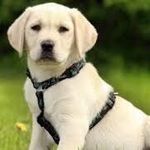 Julie Sugden - @sugdenjulie - Instagram