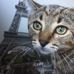 Julie Sumner - Facebook