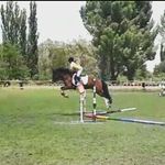 Julia Sutton - @julia_back_up300 - Instagram