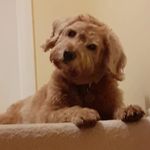 Julia Sylvester - @julia.sylvester.54 - Instagram