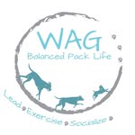 Julia Tanaka - @wag_balanced_pack_life - Instagram