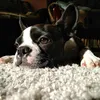 juliateterina882 - @juliateterina882 - TikTok