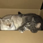 Julie Thacker - @julie_thacker6 - Instagram