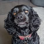 Julie Thacker - @julie.thacker363 - Instagram