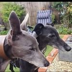 Julie Thacker - @juliethacker77 - Instagram