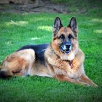 Julie Thayer - @julie.thayer.520 - Instagram