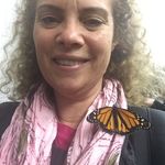 Julia Tilley - @fatstratmama - Instagram