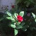 Julia Tilson - Facebook