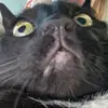 Julia - @juliatinez - TikTok