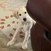 JuliandbrittAndtink - @julianaandbrittanytinker - TikTok