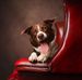 Julie Trigg - Facebook