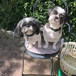 Julie Vickers - @vickers.julie - Instagram