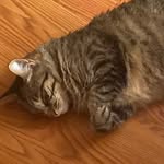 Julie Waldrop - @julie.waldrop73 - Instagram