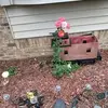 Julia Walls - @julia.walls1 - TikTok