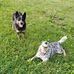 Julia N. Washburn - Facebook