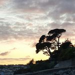 julia webb - @juliawebb286 - Instagram