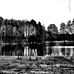 Julia Wesley Christof - Facebook