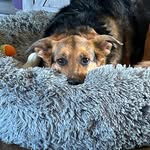 Julia Westphal - @familyjulez0223 - Instagram