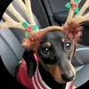 Julia Wiles - @juliabendia - TikTok