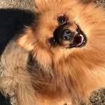 Julia Willard - @julia.willard.98 - Instagram