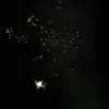Julia Wimmer  - @julia.w.2005 - TikTok