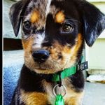 Julia_Winters - @julia_winters21 - Instagram