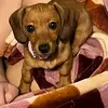 Julia Winters - @juliaw2252 - TikTok