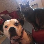 Julia Winters - @winters111 - Instagram