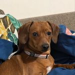 Julia Winters - @juliawinters477 - Instagram