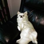 Julia Winters - @julia.winters.906 - Instagram
