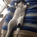 Julie Witmer - @juleswitmer - Instagram