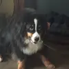 Julia Wittenberg - @normalgh0st - TikTok