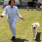 Julia Wolfe - @juliawolfe6264 - Instagram