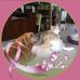 Julia Wolfe - Facebook