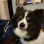 Julia Whitten Womack - @juliawomack227 - Instagram